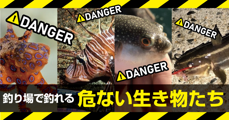 危険 釣り場で釣れる危ない生き物たち 釣りのポイント